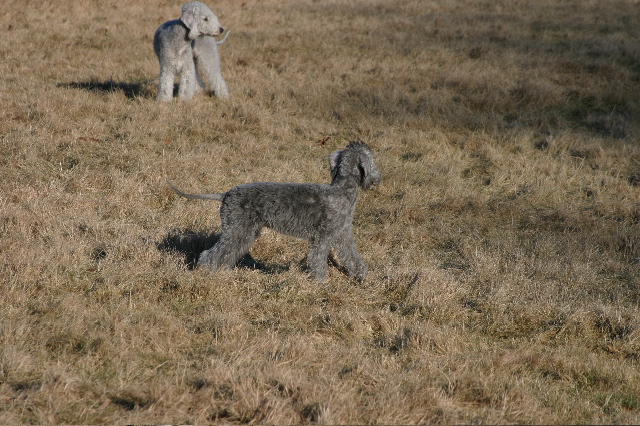 IMG_1225.JPG