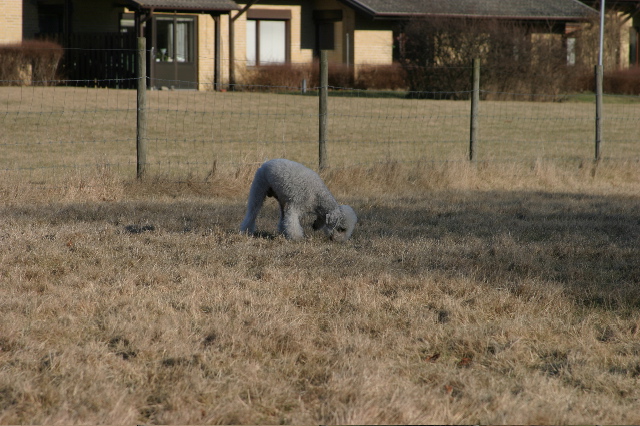 IMG_1234.JPG