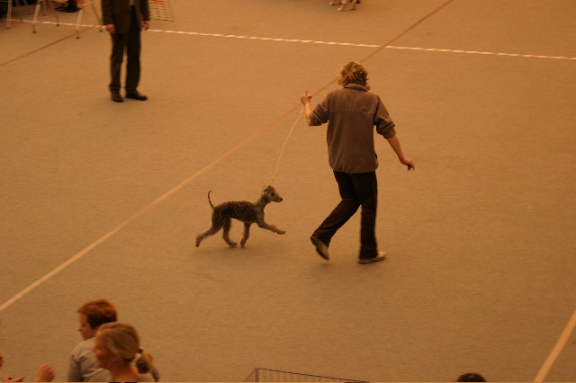 IMG_1293.JPG